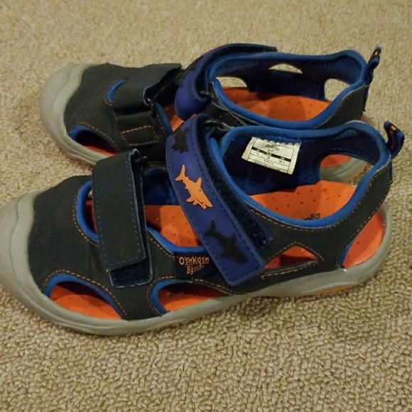 oshkosh shark water shoes